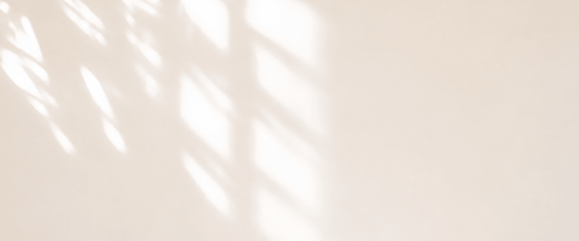 banner-bg