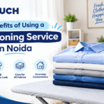Top Benefits of Using a Best Ironing Service in Noida